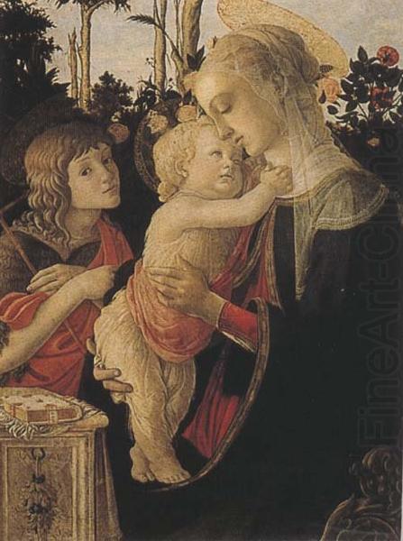 Sandro Botticelli Madonna of the Rose Garden or Madonna and Child with St John the Baptist china oil painting image